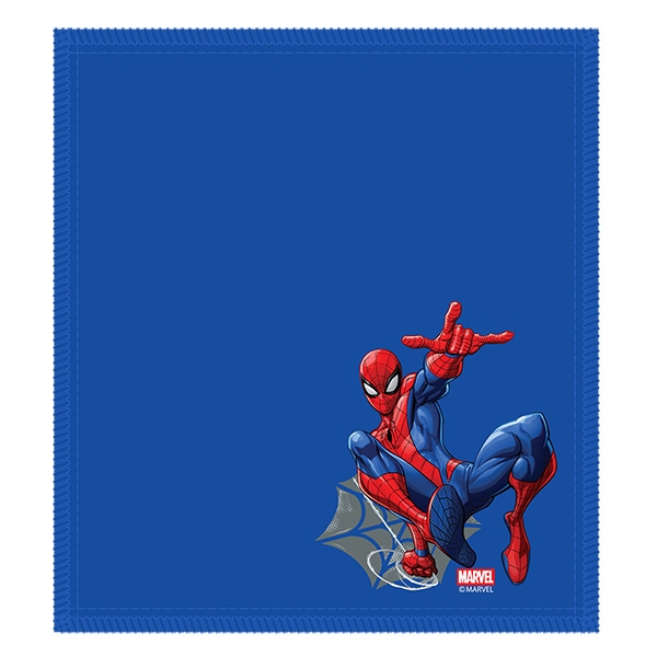 Spider Man Web