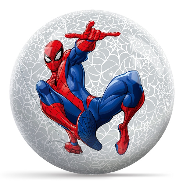 Spider Man Web